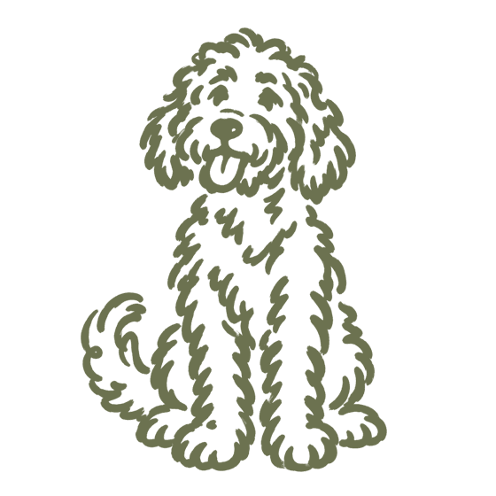 Tekening van Loebas, zittend